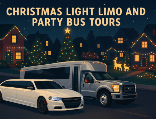Christmas Lights Limo Tours in Style with Big Time Limo